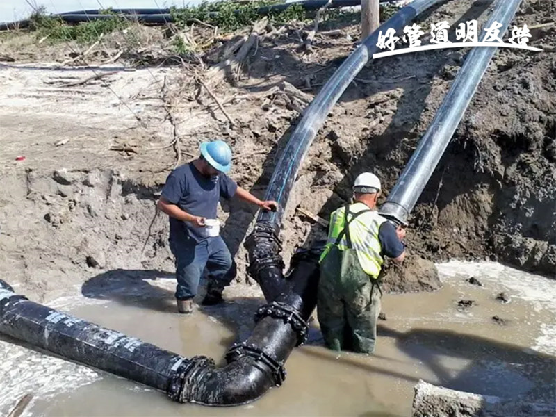 微信截图_20220924090247